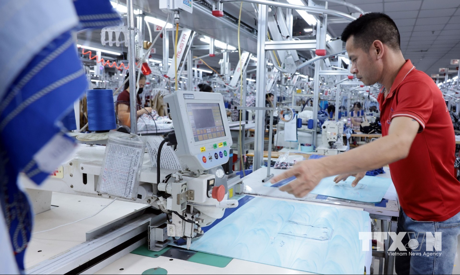 Việc đầu tư công nghệ, tự động hóa sản xuất, đáp ứng các tiêu chuẩn khắt khe của các thị trường xuất khẩu như Nhật Bản, Hàn Quốc, Mỹ và châu Âu. (Ảnh: Trần Việt/TTXVN)